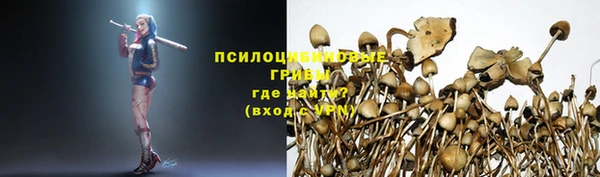 круглые Тавда