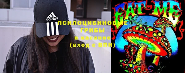 круглые Тавда