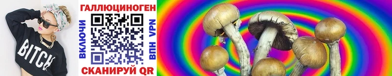 OMG как зайти  Выборг  Галлюциногенные грибы Psilocybe 