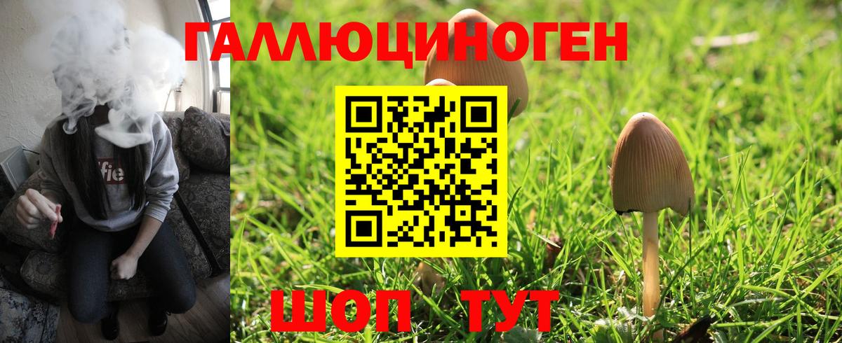Псилоцибиновые грибы мицелий  Вход с VPN  что такое   Выборг 
