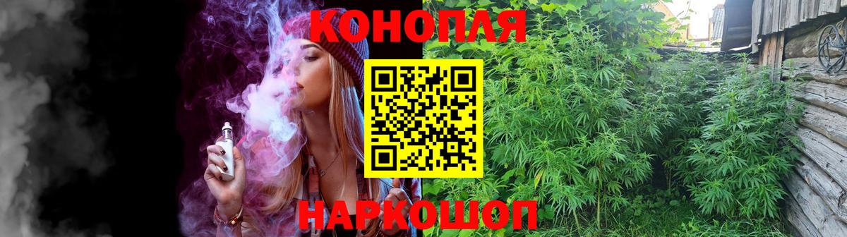 Выборг  МАРИХУАНА план  Бошки Шишки семена  Вход с VPN 